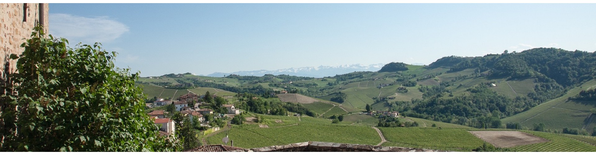 Barolo Wine Tours | Piedmont Wine Tours from Milan | Piedmont Food and Wine Tours